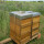Geschenk-Bienenpatenschaft - zeitloses Präsent mit Nachhaltigkeit